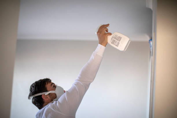 Office Mold Removal Services in Cherry Hill, VA