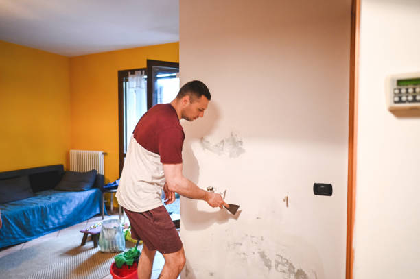 Best Certified Mold Removal  in Cherry Hill, VA